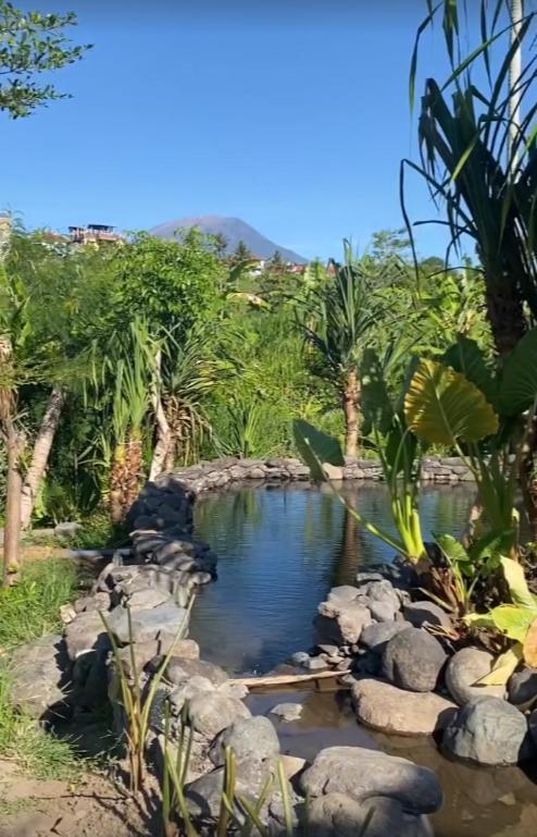 Camani Glamping Hotel Karangasem Eksteriør billede