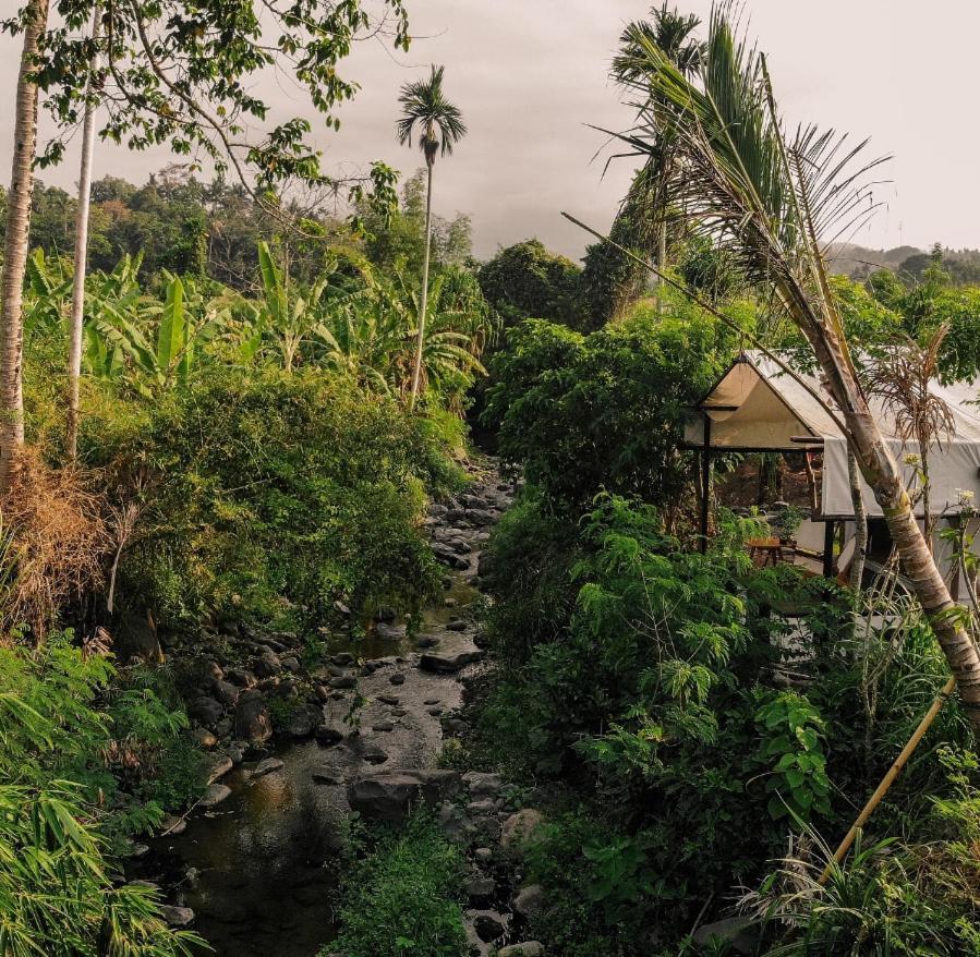 Camani Glamping Hotel Karangasem Eksteriør billede