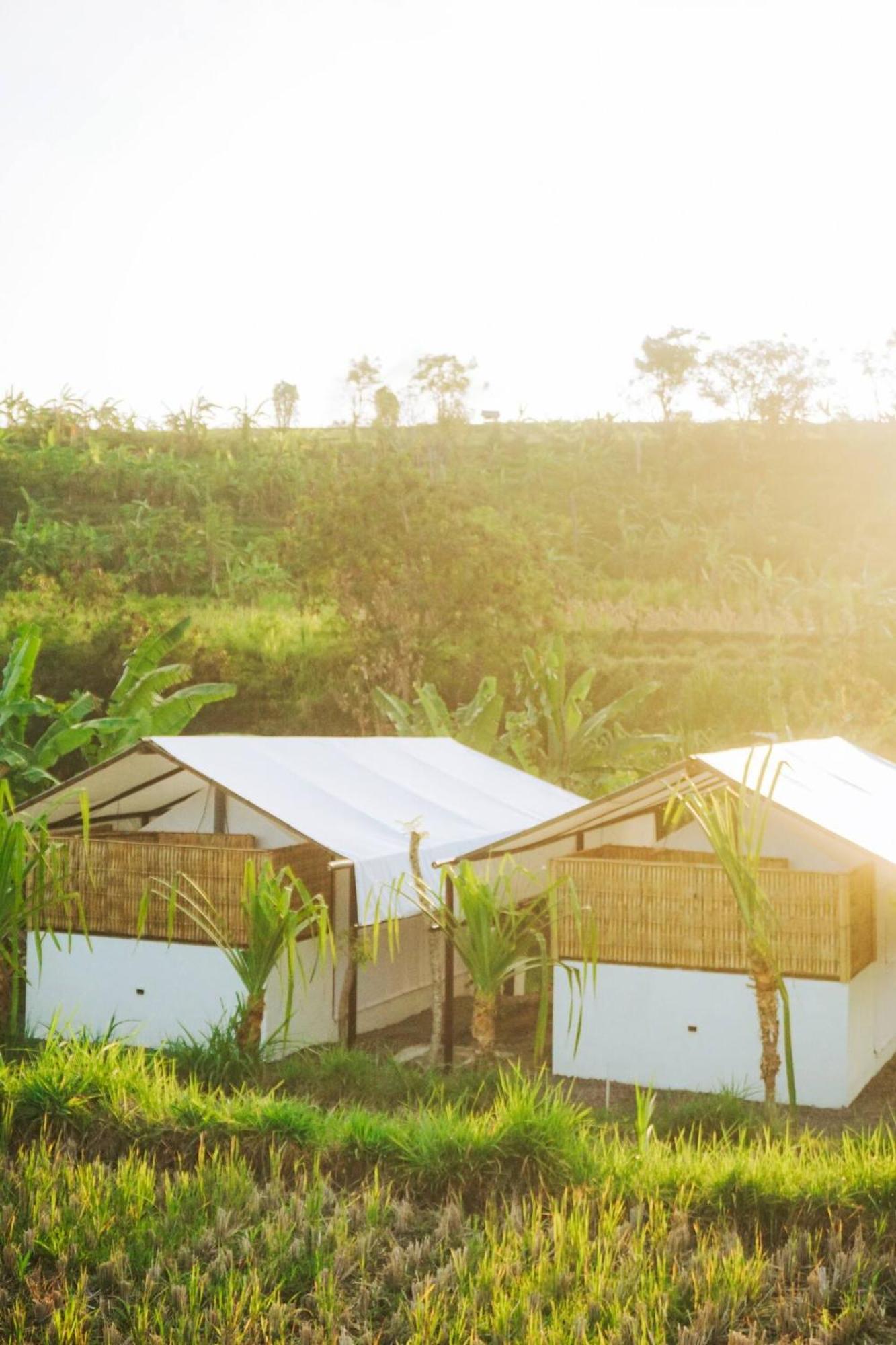 Camani Glamping Hotel Karangasem Eksteriør billede