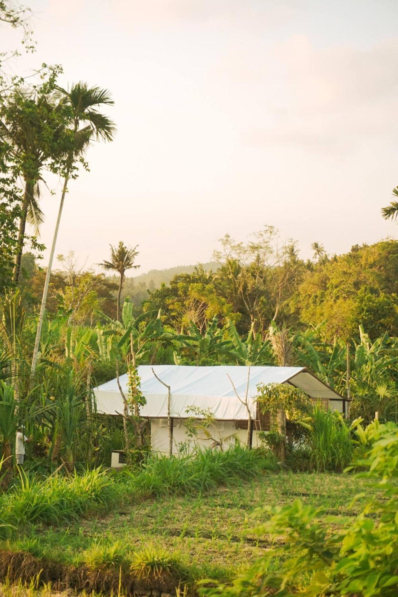 Camani Glamping Hotel Karangasem Eksteriør billede