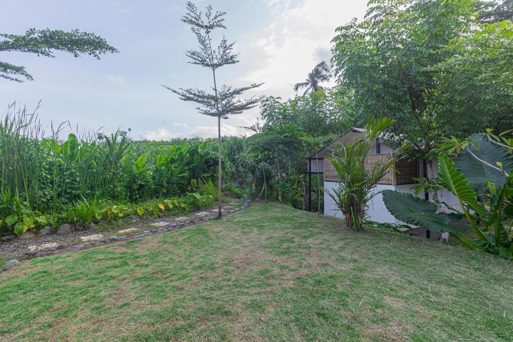 Camani Glamping Hotel Karangasem Eksteriør billede