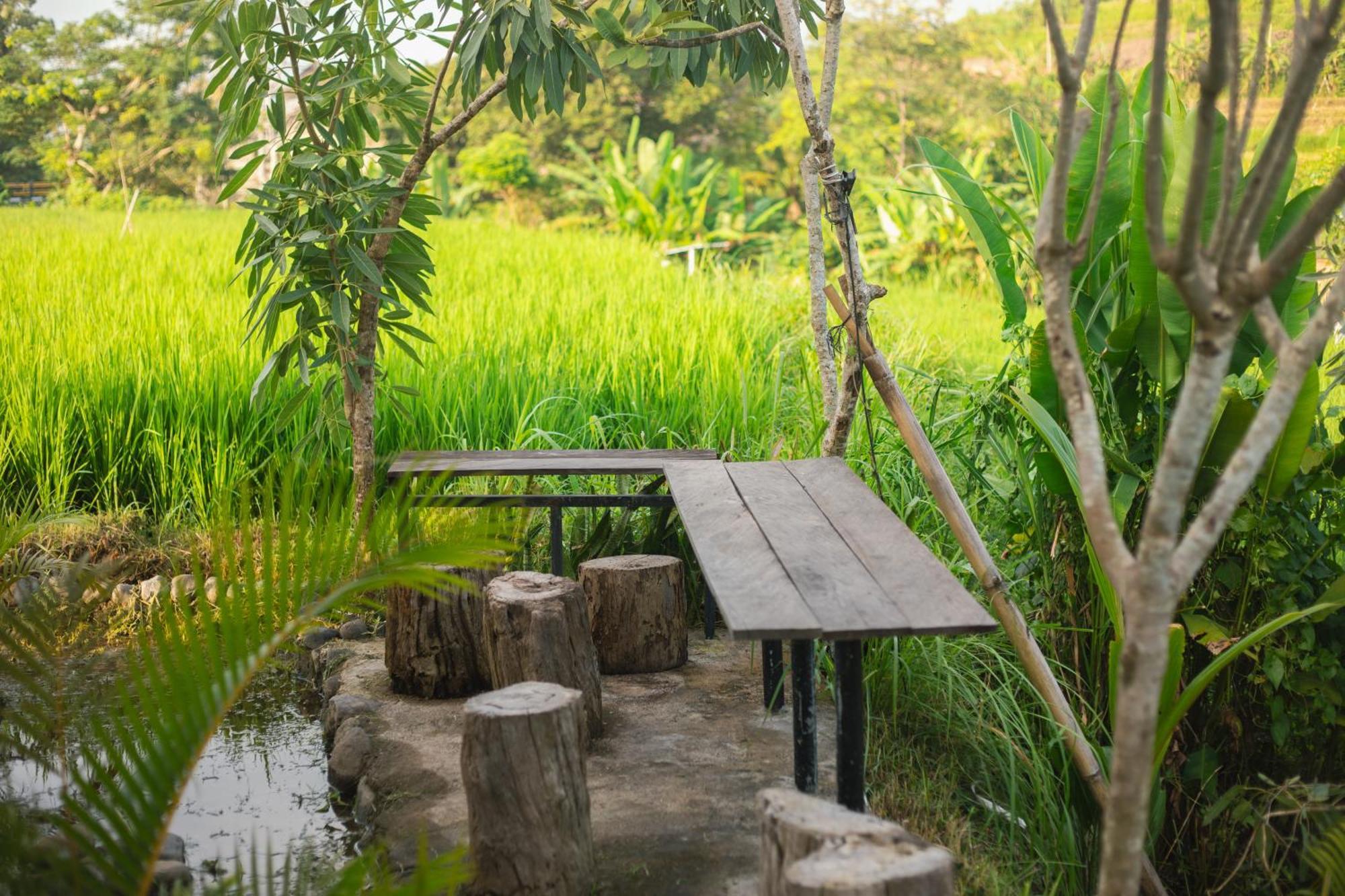 Camani Glamping Hotel Karangasem Eksteriør billede