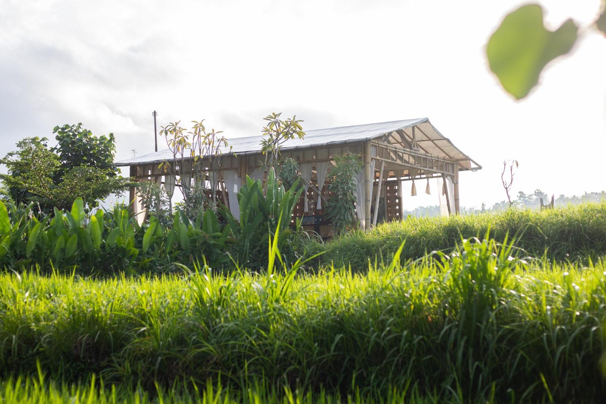 Camani Glamping Hotel Karangasem Eksteriør billede